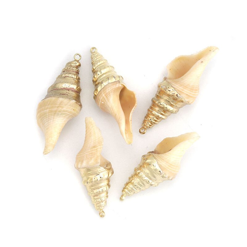 5 PCs Natural Shell Pendants Gold Conch/ Sea Snail Multicolors Charms For DIY Handmade Jewelry Making: 10
