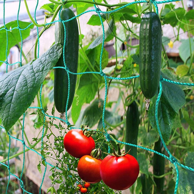 1pcs Garden Plants Climbing Netting Nylon Flower Vine Netting Bean Plant Nets Grow Fence Home Garden Tool
