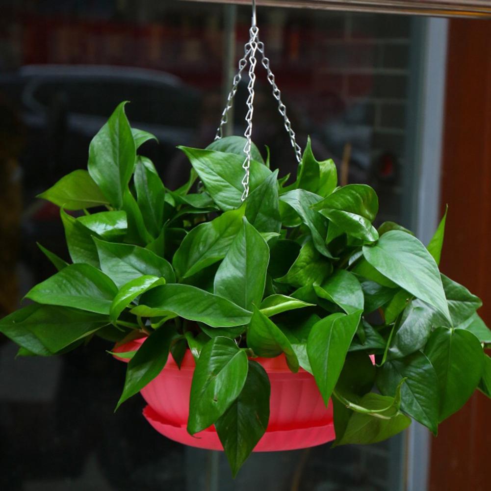 Useful Hanging Flower Pot Breathable Draining Hole Plastic Bar Decorative Hanging Flower Pot