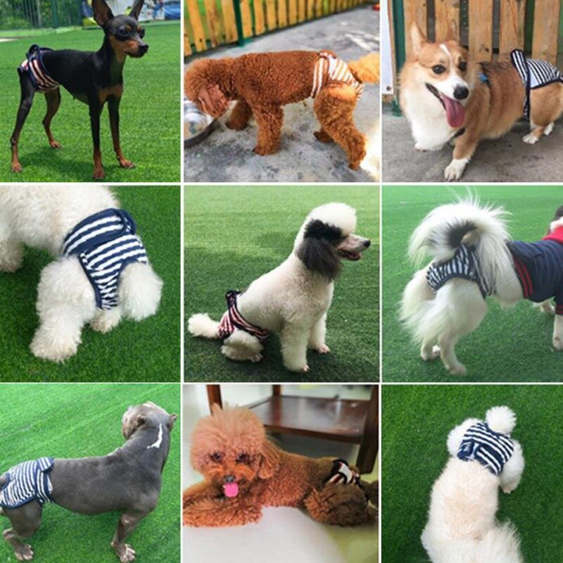 Pet Dog Pants Health Physiology Pets Menstrual Physiological And Sanitary Pants Safety For Chihuahua French Bulldog Pants