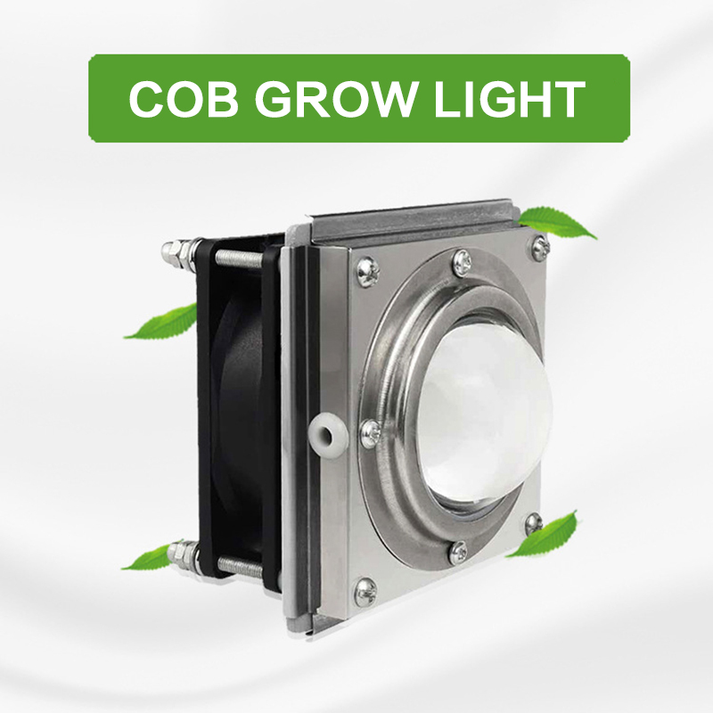 50W COB LED Grow Light Full Spectrum Growth Lamp Cooling Fan Hydroponic Plant Light Bulbs That Promote Photosynthesis In Plants