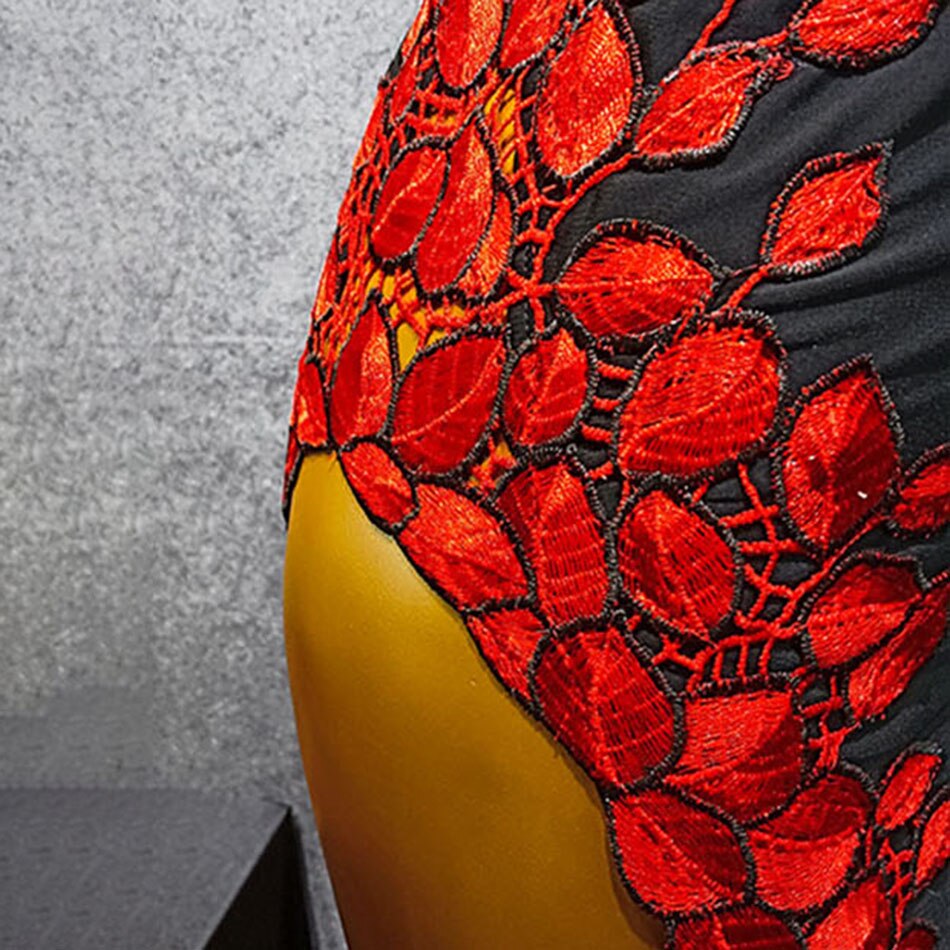 Long Sleeve Bare Back Flower And Tassel Latin Dance Dress Dancing Performance Women Dress Ballroom Samba Tango W252