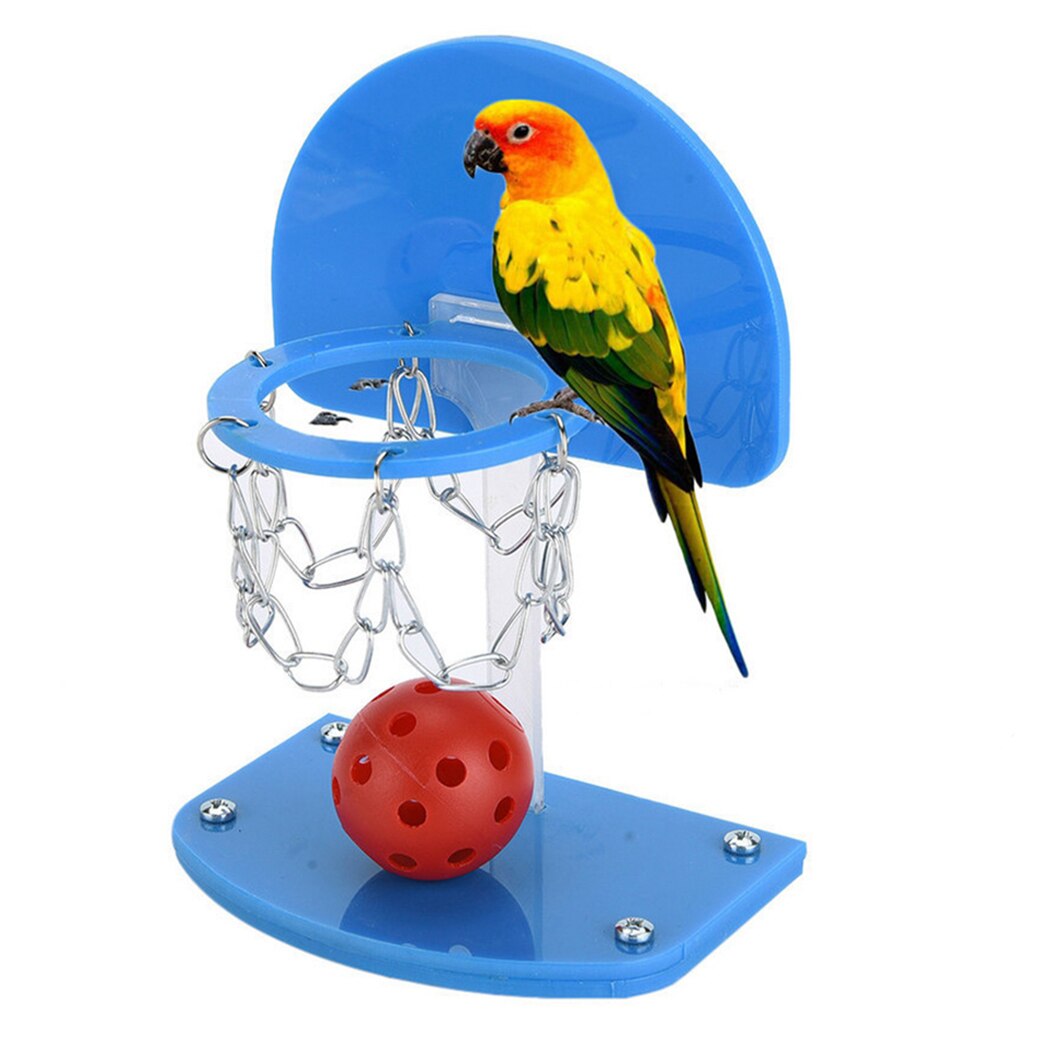 Vogel Basketbal Speelgoed Set Mini Vogel Training Speelgoed Papegaai Educatief Speelgoed Voor Kooi Papegaaien Speelgoed En Vogel Accessoires Voor Pet speelgoed