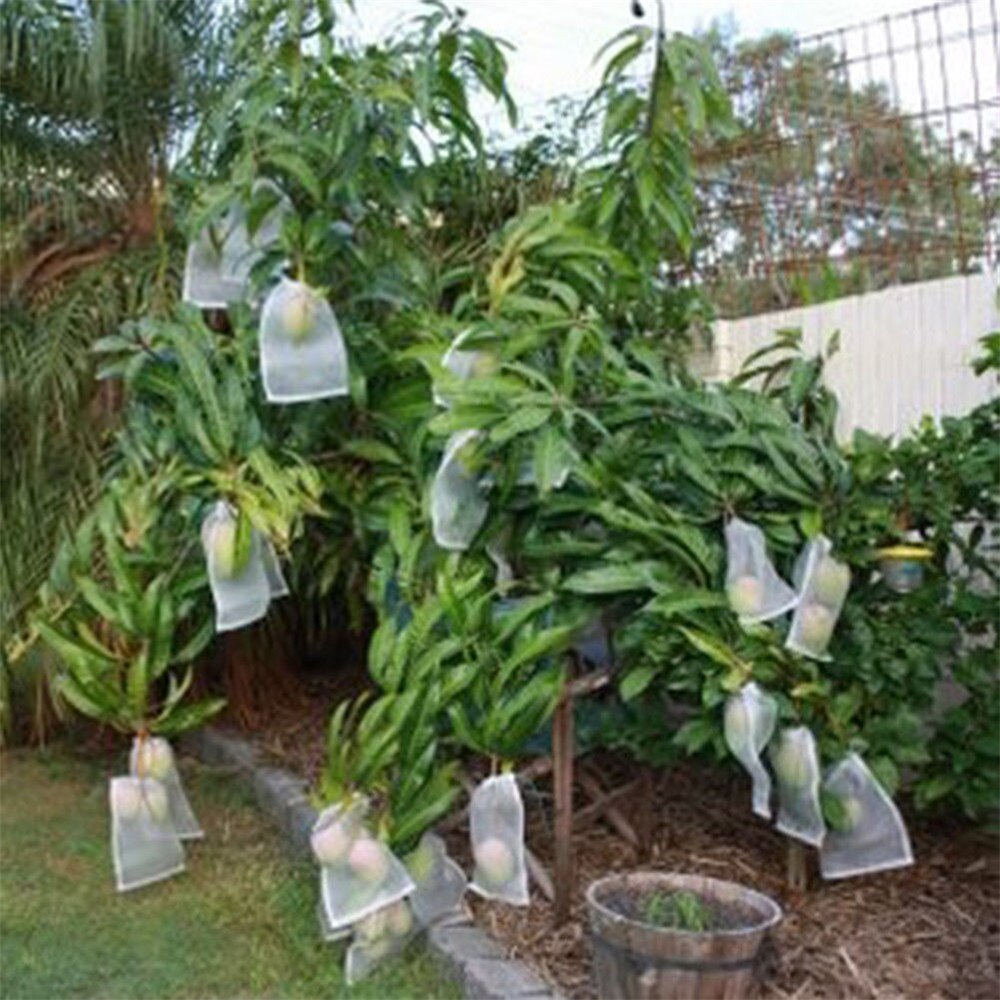 Bolsas reutilizables para protección de plantas de jardín, malla contra plagas de insectos y aves, 10 unidades, 3 unidades