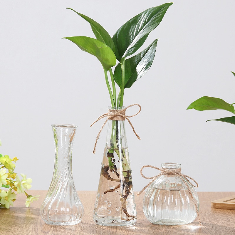 Matbord liten vas hydroponic växt glasvas dekoration rik bambu blomsterarrangemang bord blomma vas