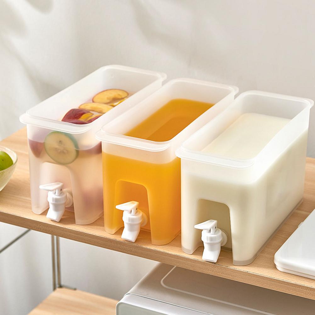 Infuseur d&#39;eau glacée pour fruits, Carafe, pichet à glace, thé, limonade, jus, théière, réfrigérateur