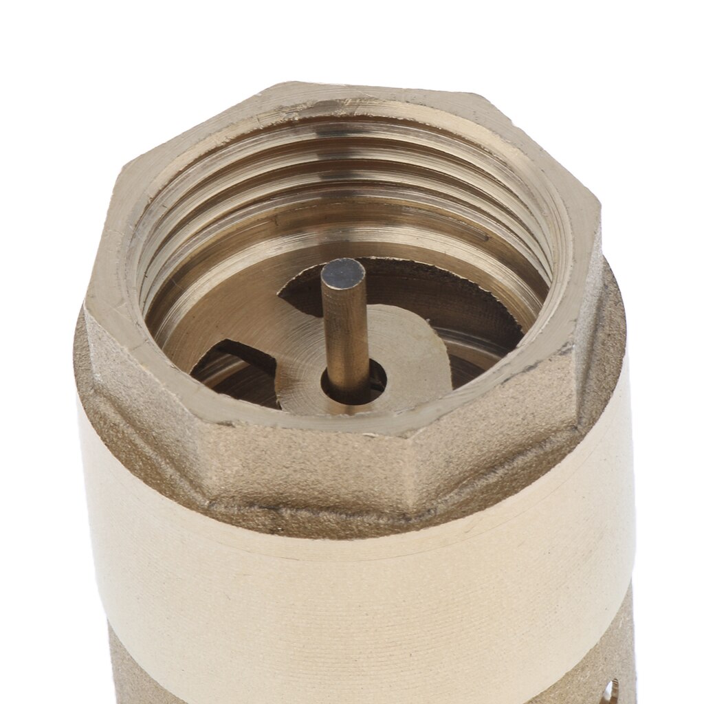 1 inch Brass Female Thread Check Valve with Strainer, Durable