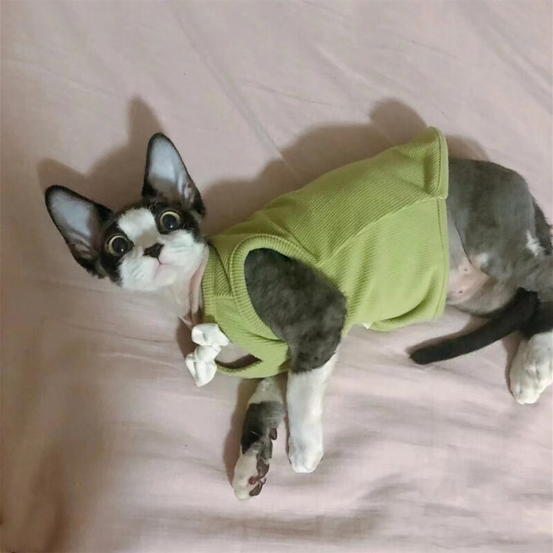 Cotton Sphinx Cat Clothes Cute Pet Sweater Vest Soft Kittens Costume BowKnot V Shirt For Sphynx Spring Summer Devon Rex Ragdoll