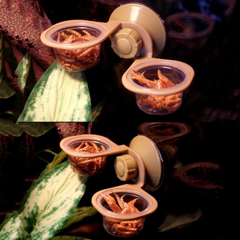 Zuignap reptielen water voerbak muur hangende voerbak kom spinnenkast