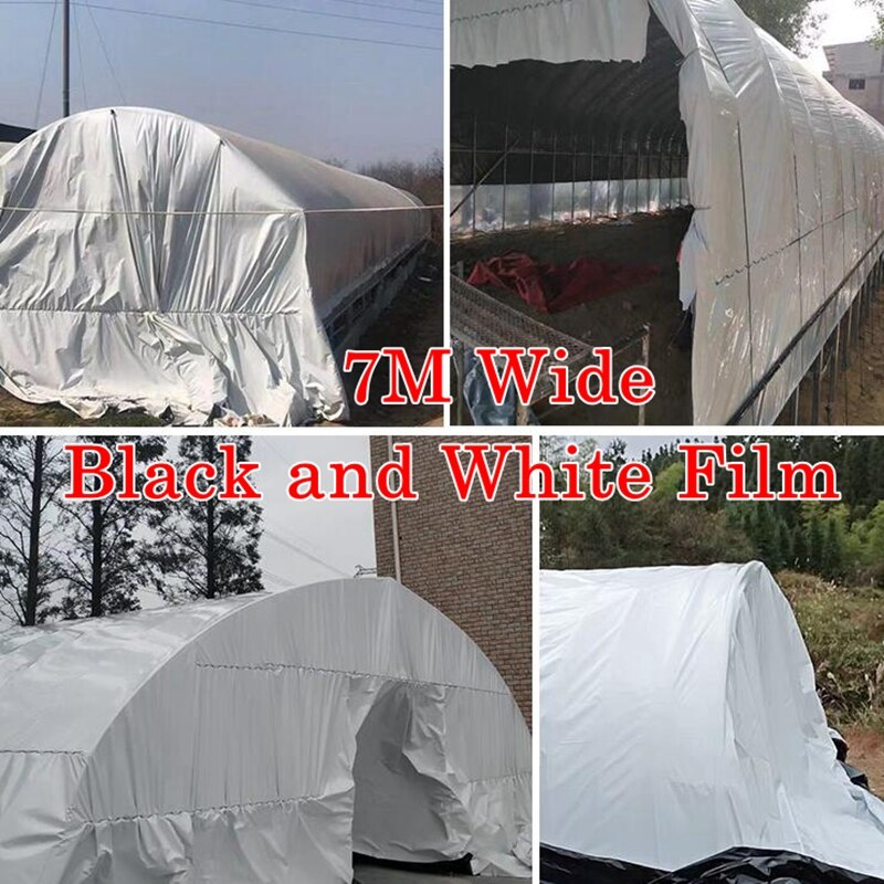 7M Breed Pe Plastic Film Zwart-wit Verdikte Waterdicht En Winddicht Plastic Film Warmte Behoud Film