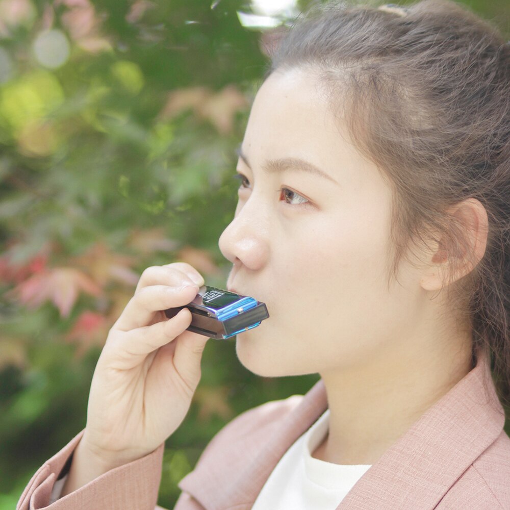 Irin c -160 blues key of c munspel 10 hål 20 låtar mun orgel koppar munspel med box blåsinstrument blå/svart