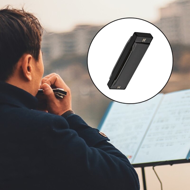 IRIN 10 hole 20 tone C tone blues harmonica jazz rock folk organ woodwind instrument