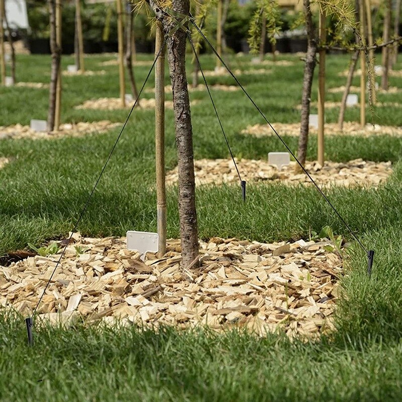 31 Pcs Tree Stake Kits,Anchoring Tree Stakes+Tree Straps+Rope For Young Trees Against Wind,For Sapling Straight Up Fix