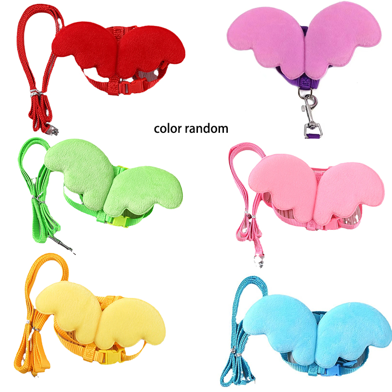 Harnais réglable laisse corde chat et chien pour canard petits animaux formation marche remorquage corde fournitures pour animaux de compagnie: M