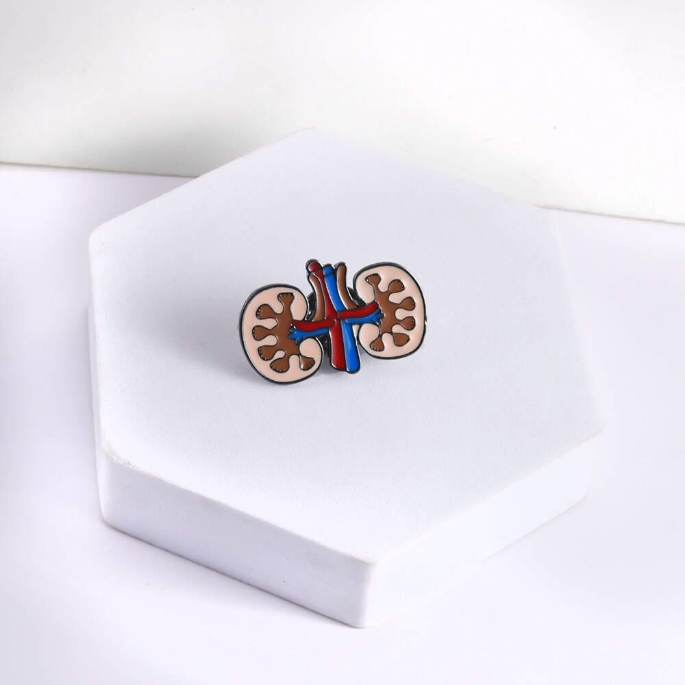 Hanreshe Medische Emaille Lung Nier Broche Pins Bloedvaten Menselijke Organen Anatomie Revers Badge Sieraden Voor Artsen Verpleegkundigen