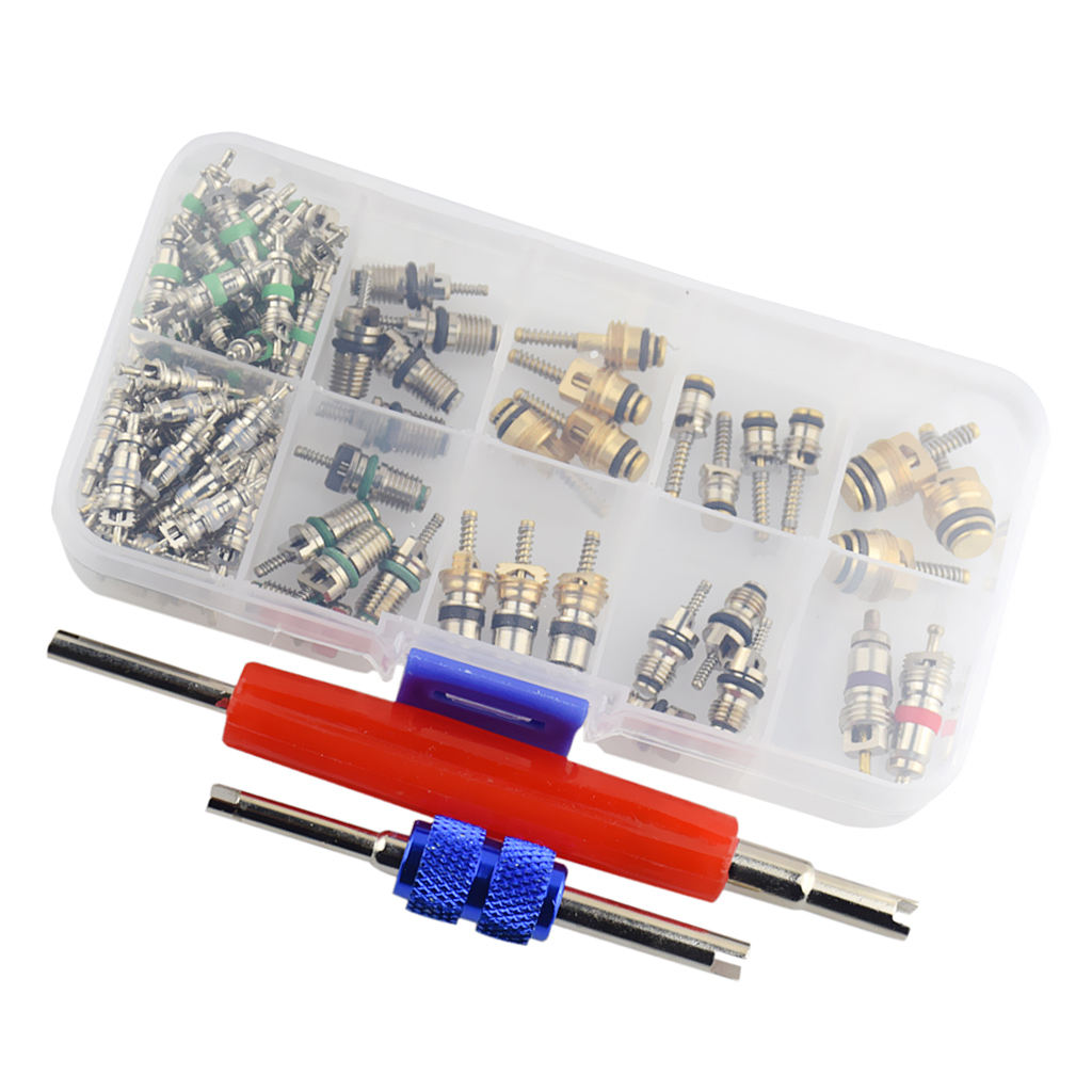 102pcs AC Shrader Valve Core And Disassembly Tool R134 R12 Valves Kit