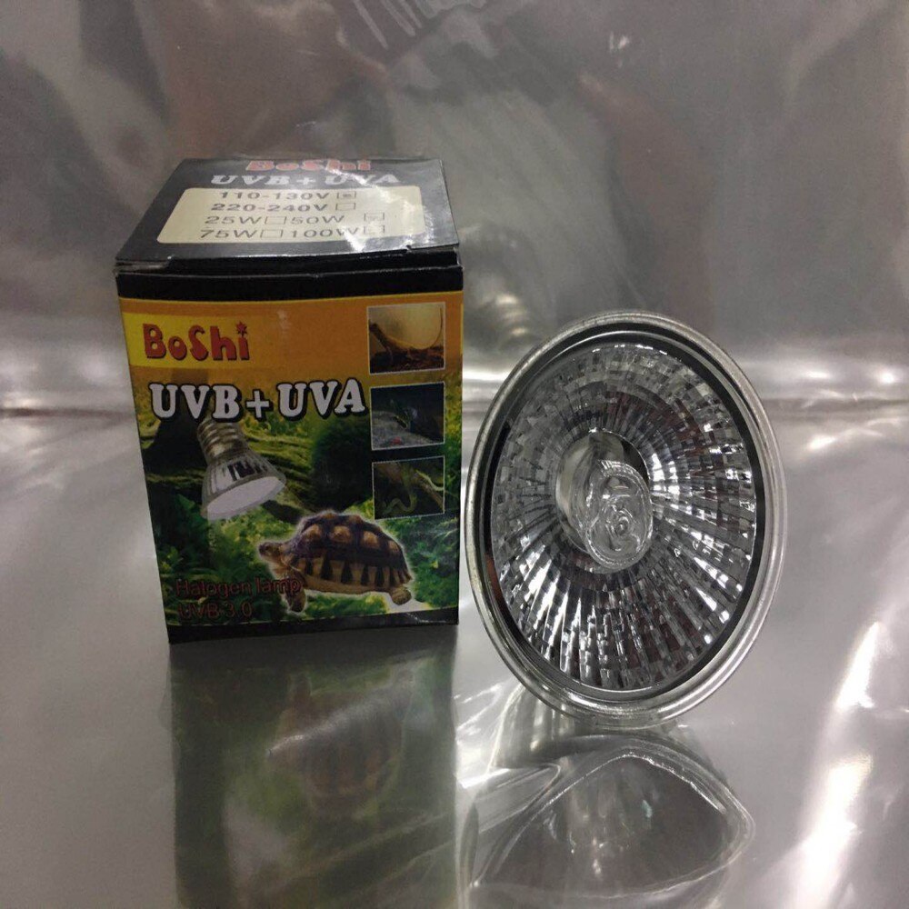 Reptiel Lamp Set Lamp Clip-On Lamp Lamp Houder Thermometer Hygrometer Schildpad Schildpadden Koesteren Lamp Warmte Licht Kit