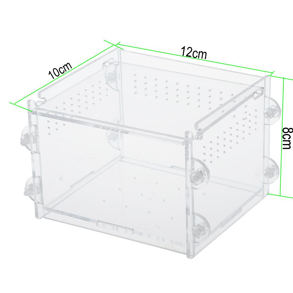 Acrylic Transparent Reptile Amphibious Box Breathable Durable Flip Cover Reptile Cage Easy Install Lizard Breeding Box 20E