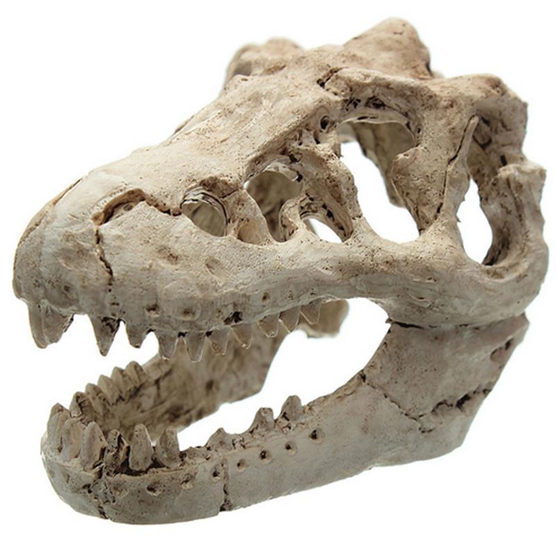 1 stk drage harpiks akvarium/terrarie dekoration krokodille kranie til akvarium harpiks ornament dekorere dit akvarium: 8.5 x 5.5 x 4.5 cm