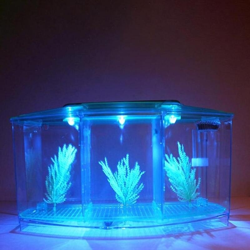 Betta Fish Box Cube Betta Aquarium Box Separate Breeding Tank Seedlings Fish-Breeding-Box Isolation-Box Fish Spawning Aquar Y3W8