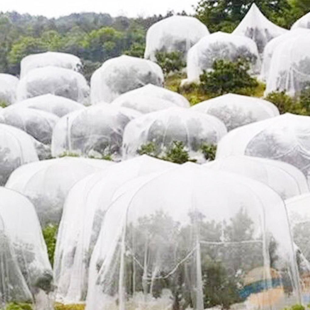 Groenten Planten Bescherming Netto Polyethyleen Plant Crop Mesh Netto Anti Insecten Netting