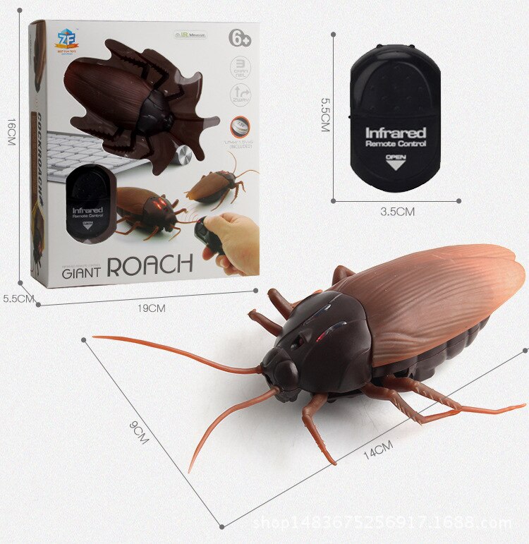 Télécommande infrarouge RC, jouet Animal, Kit pour enfants adultes, cafard intelligent, araignée, serpent, fourmi, farces, Radio, insecte pour garçons: 9916 cockroach
