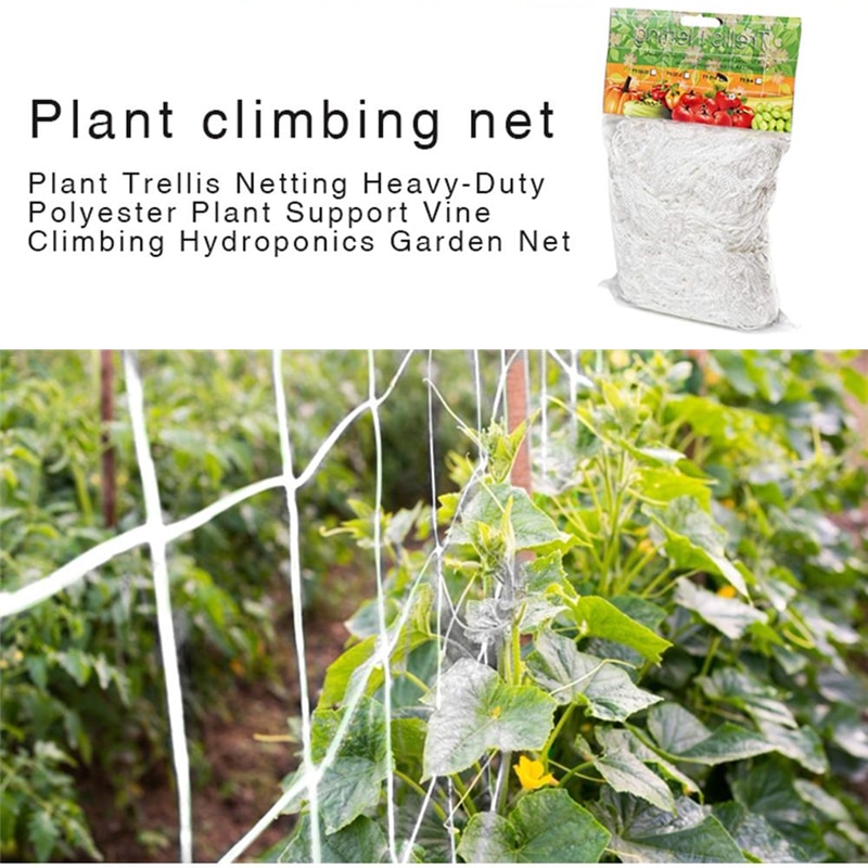 Plant Climbing Net Mesh Loofah Netting For Morning Glory Vine Flowers Garden Plants Climbing Net Cucumber Vine Grow Holder