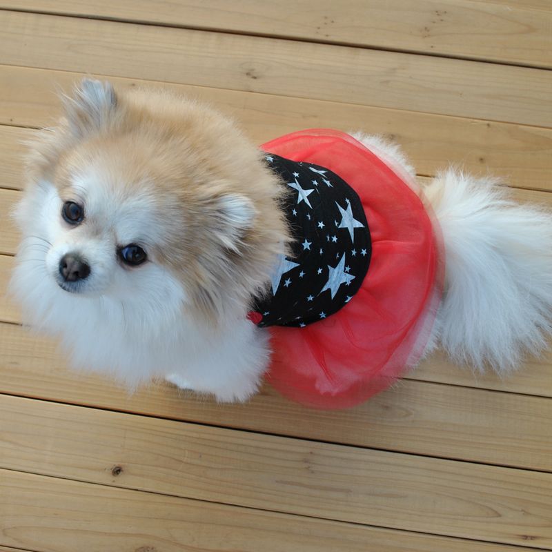 zwierzę domowe pies szczeniak tutu księżniczka sukienka kropka koronkowa spódniczka wiosna lato szczeniak psy sukienka spódnica kostium imprezowy odzież