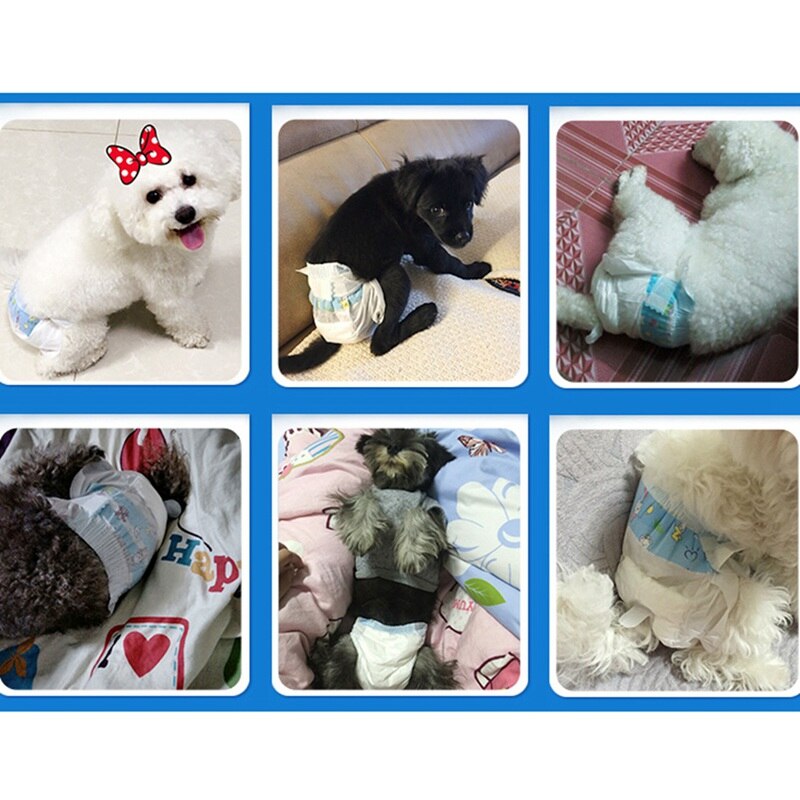 Hond Luier Wegwerp Luier Shorts Verdikte Lekvrij Snelle Absorptie Super Zachte Puppy Zorg Levert Luiers Vrouwelijke Hond