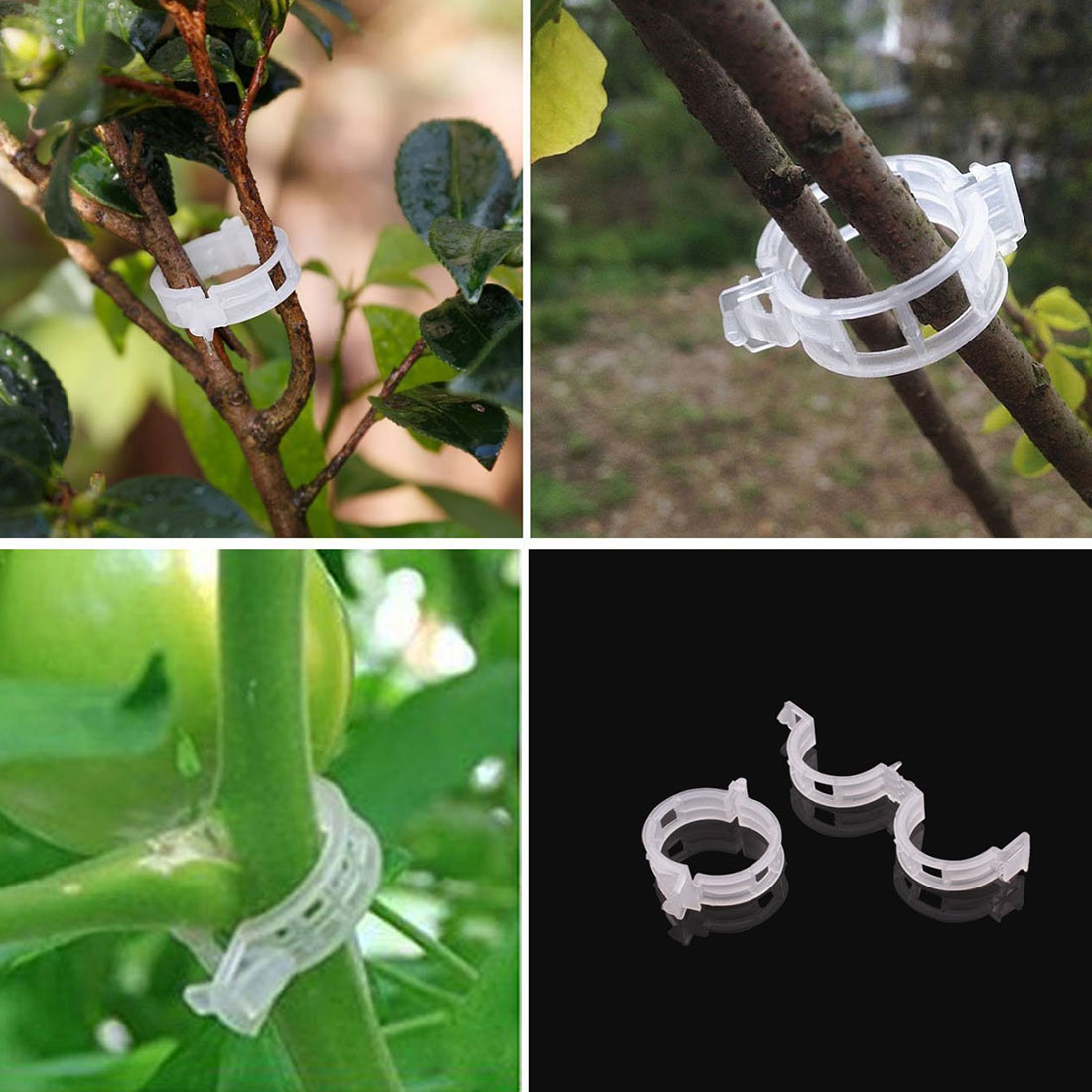 100 stk/parti tomathage planteklips til espalier hyssing drivhus tomat veggie hageplanteklips