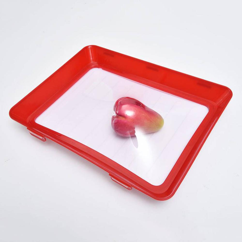 Plateau de conservation des aliments de 6 pièces pour le récipient de stockage des aliments de cuisine