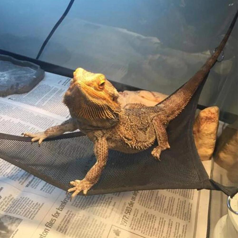2pcs Reptile Hammock Lounger Ladder Accessory For Large Small Anole Geckos Lizards Snakes Triangle Hammock With Suction Cup