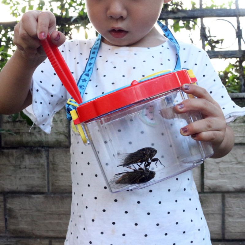 Bug Viewer Insect Magnifier Observer Kit Children ... – Grandado