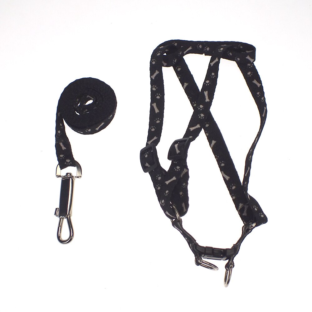AONESY Puppy Starter Kit 24 Stuks Hondenbenodigdheden Assortimenten Hond Beginners Sets Inclusief Hond Speelgoed/Puppy Training Benodigdheden/Hond Grooming Tool/Hond Accessoires