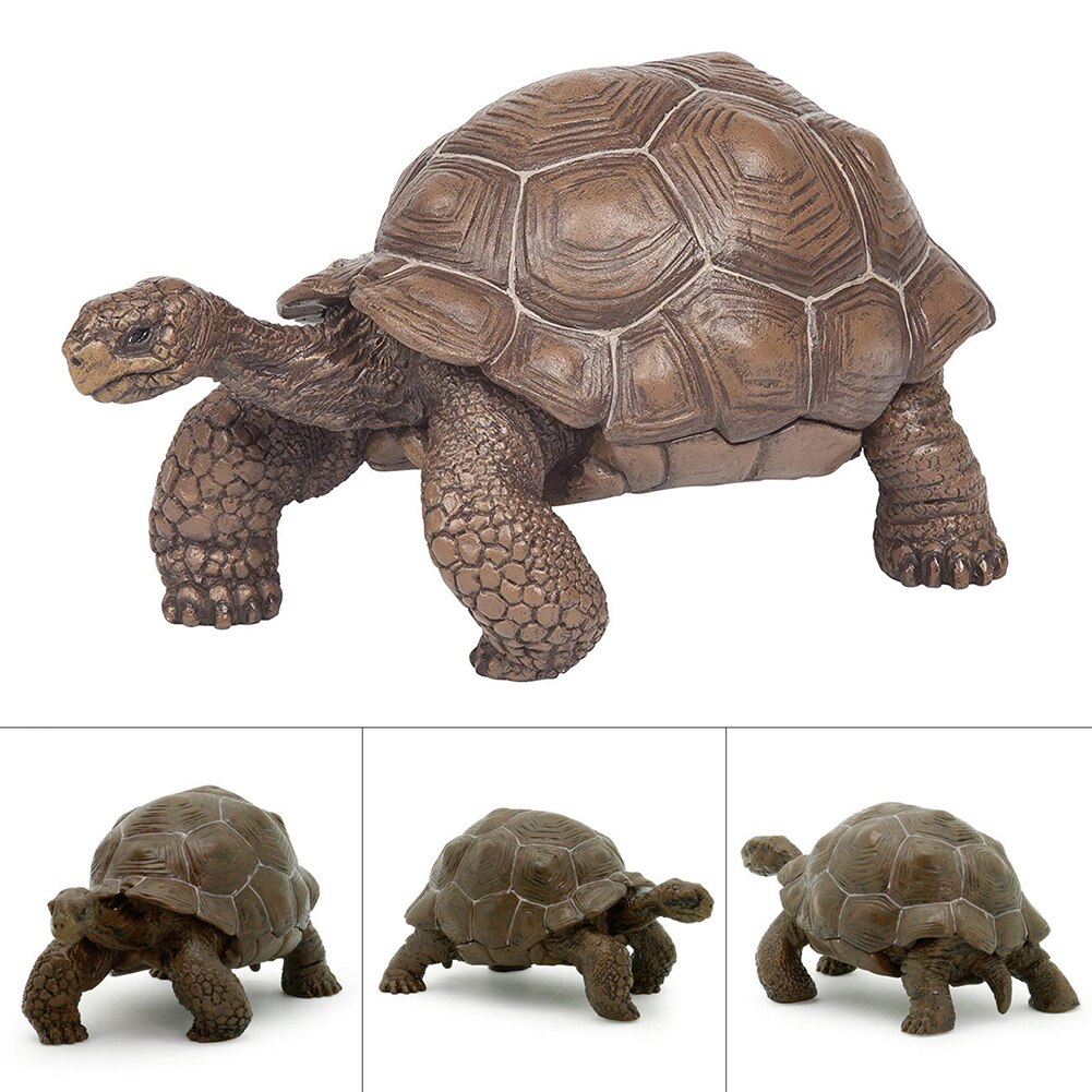 3inch Galapagos Tortoise Turtle Model Figure Animal Toy - Collectable #W0