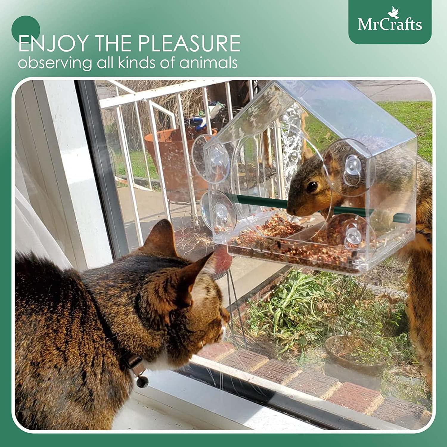 Clear Window Bird Feeder Weatherproof Bird House Bird Feeders with Strong Suction Cups for Cardinal Finches Chickadees Parrot