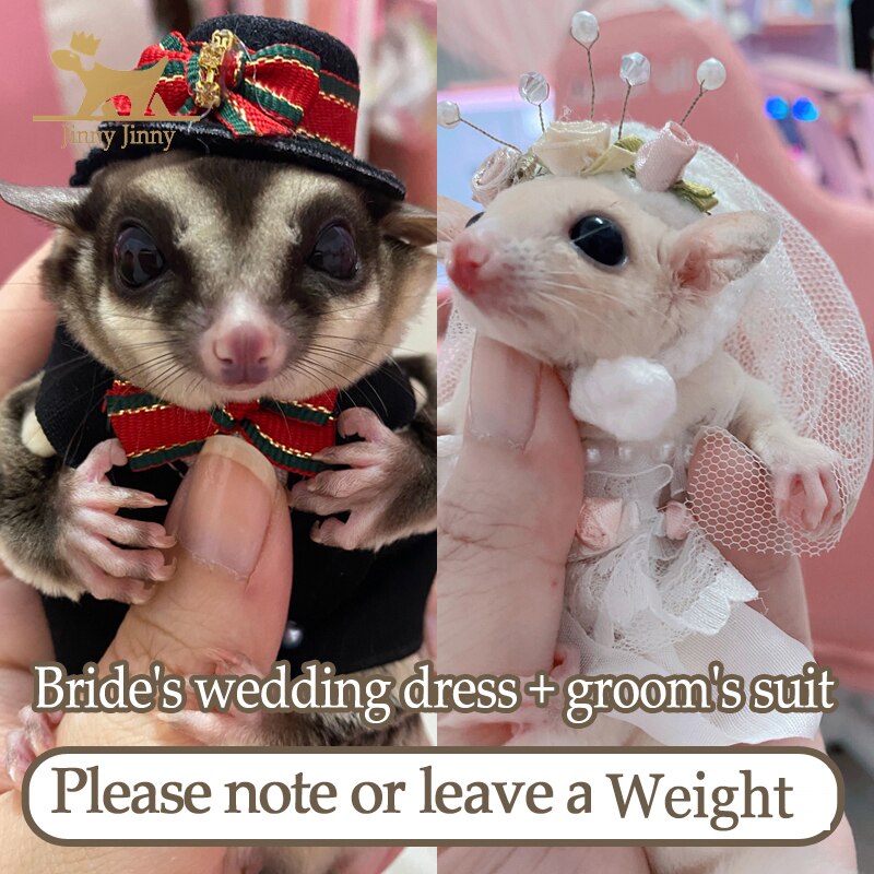 Hamster Kleding, Suiker Zweefvliegtuig Jurken, Kleding Voor Hamsters, Feestelijke Jurken Accessoires, Center # Jinny: dress and suit