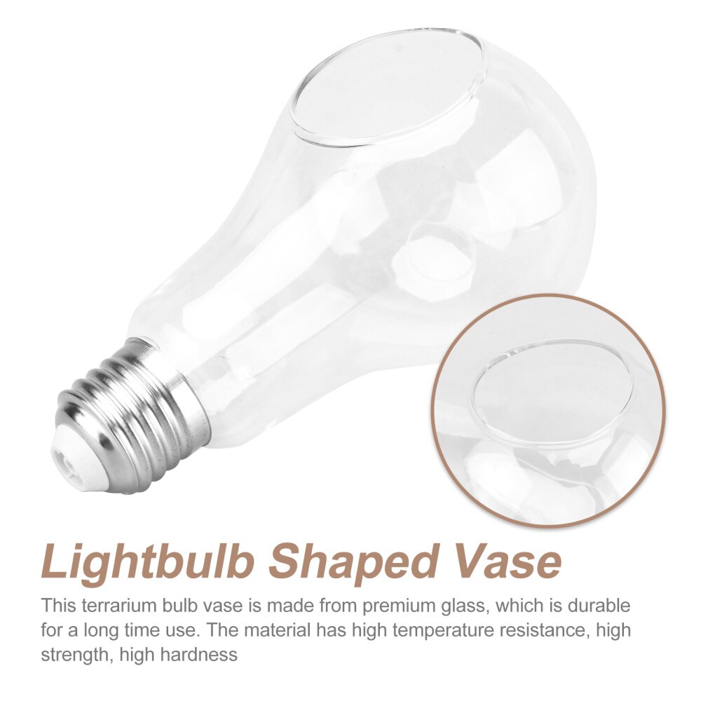 2pcs Light Bulb Shape Glass Hanging Vase Hydroponic Hanging Vase for Home