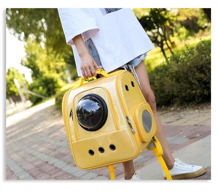 Opvouwbare Waterdichte Huisdier Kat Rugzak Hond Draagtas Bubble Ruimte Pet Carrier Rugzak Voor Kat Kleine Hond Outdoor handtas