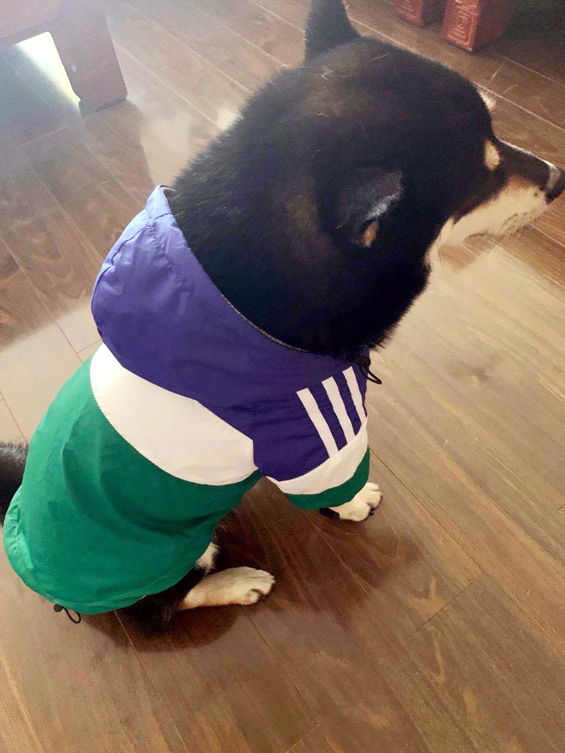 Outdoor Waterproof Jacket For Puppy Raincoat For Dogs Big Dog Clothes Akita Labrador Pet Coat Sport Hoodies For Dog Cats pug