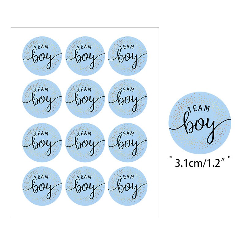 120pcs Team Boy Team Girl Stickers Boy or Girl Vote Sticker for Gender Reveal Party Decoration Baby Shower Packaging Seal Labels: Z04