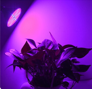 220v phyto lampe fuld spektrum led vækst lys  e27 plante lampe fitolamp til indendørs frøplanter blomst fitolampy vokse telt boks