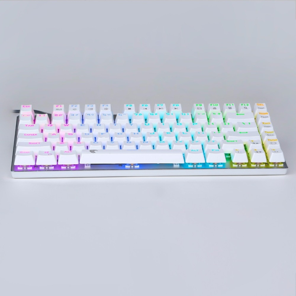 Z88 RGB Backlit 81 Keys Tenkeyless Compact Small Mechanical Gaming Keyboards DIY Outemu Blue Switches