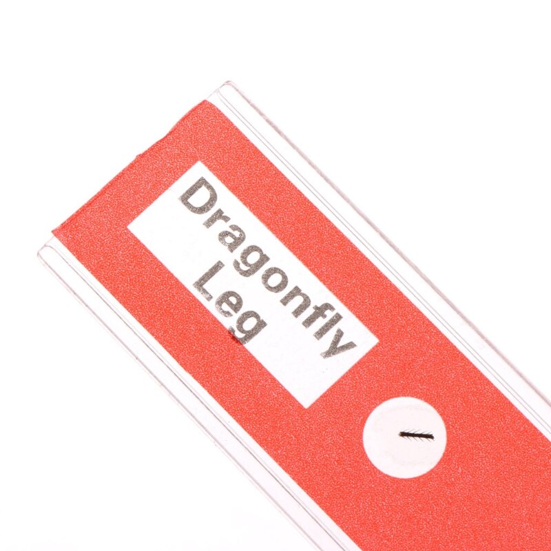 12Pcs/Set Prepared Microscope Slides Set Specimen For Student Basic Biology Education