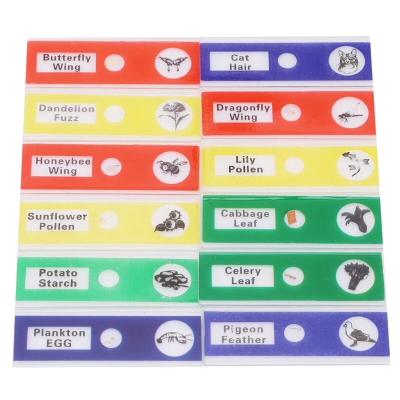 12PCS Prepared Plastic Microscope Slides Biological Specimen with Boxes for Children Student Enlighten Education