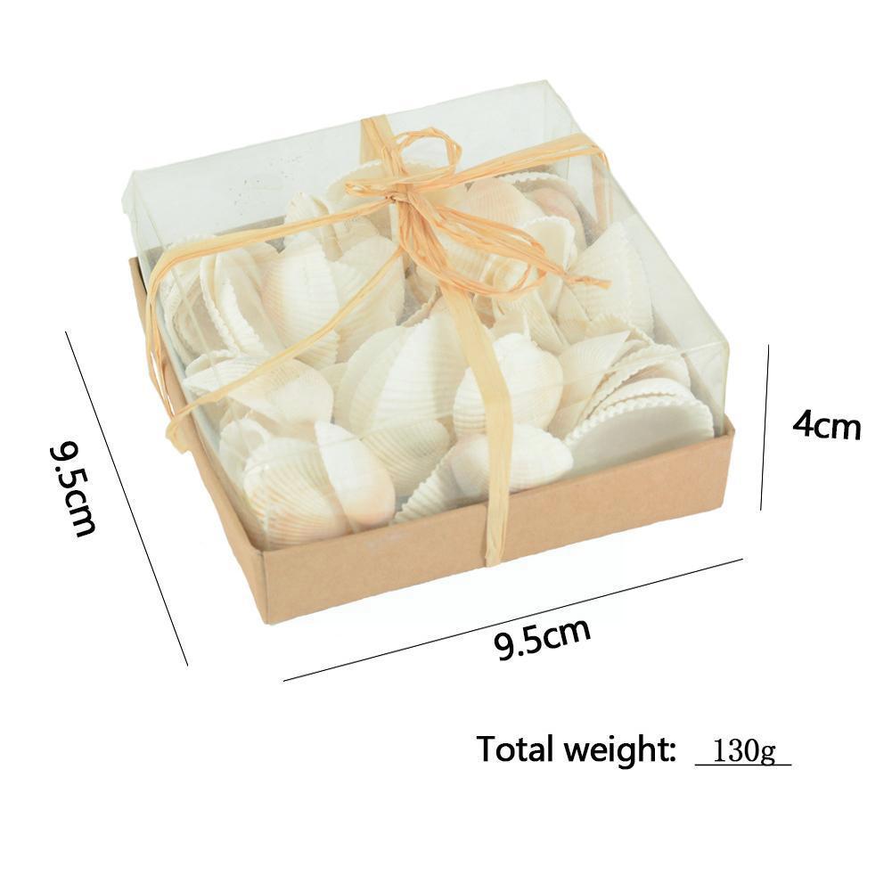 130g Natural White Clam Box Diy Home Decoration Pendant Crafts Marine Life Collection For Hotel Living Room Decor I7g0