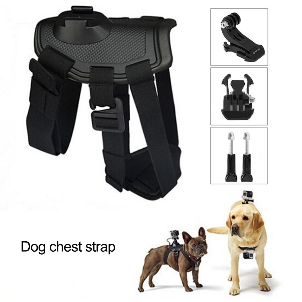 Harnais pour chien de compagnie Sport caméra | Bracelet élastique à l'arrière, ceinture pour chiens, harnais pour GoPro Hero, fournitures d'extérieur pour animaux de compagnie