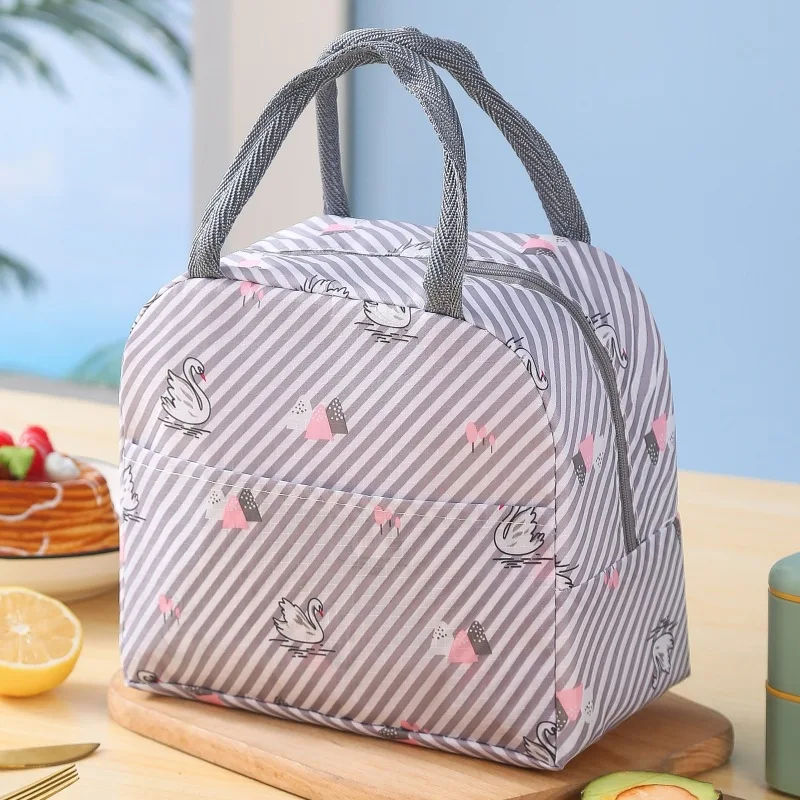 Bolsa de almuerzo con asa, bolsa térmica aislante para mujer y niño, fiambrera para picnic, viaje, almacenamiento de frutas y alimentos, bolsas térmicas para desayuno: Transparente