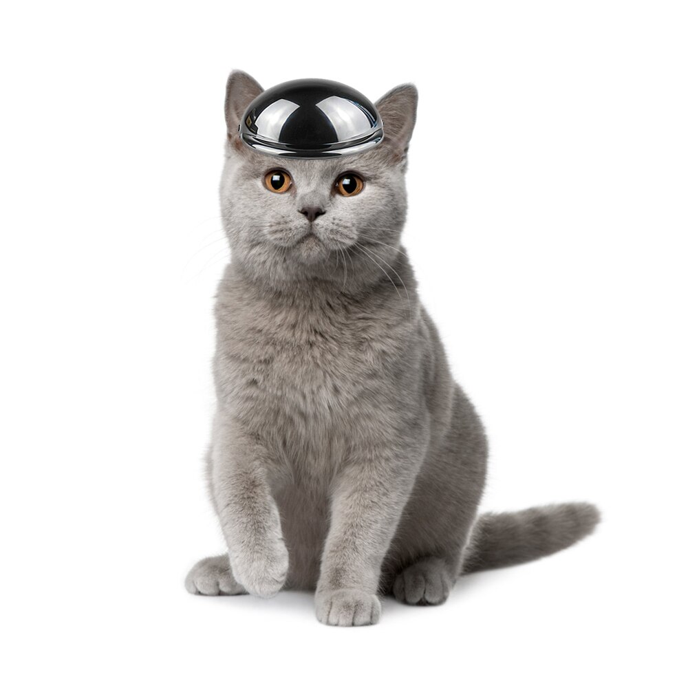 Casque de moto pour animaux de compagnie, diadème pour chien, petit et moyen gabarit, bouledogue français, Chihuahua, coiffure de chat, accessoires Photo amusants