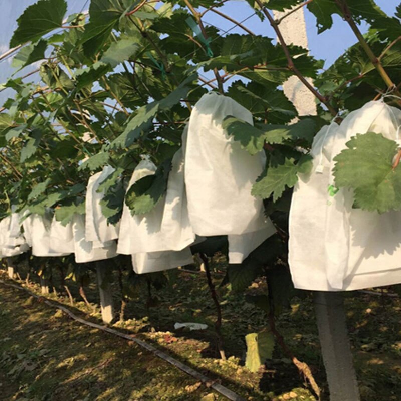 Bolsas de protección para uvas y verduras de jardín, bolsa de malla antiaves para Control de plagas agrícola, 100 Uds.,